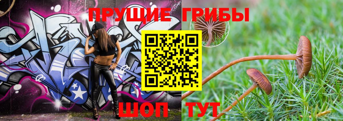 Галлюциногенные грибы MAGIC MUSHROOMS Троицк