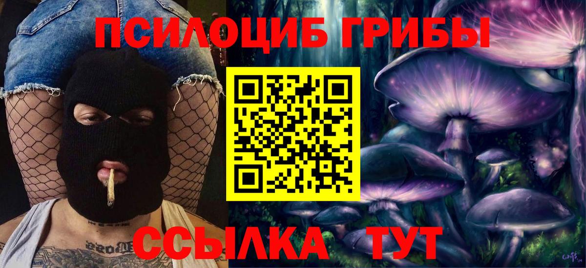 Псилоцибиновые грибы мицелий  Галлюциногенные грибы Psilocybine cubensis  Троицк  Вход с VPN 